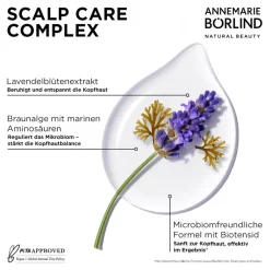 ANNEMARIE BÖRLIND Hair Care Balance Shampoo 250 ml