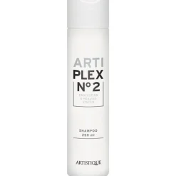 Artistique Arti Plex No2 Shampoo 250 ml