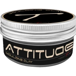 Attitude Moulding Clay 100 ml