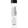 Celeb Viral Pastel Colorditioner Silver 244 ml