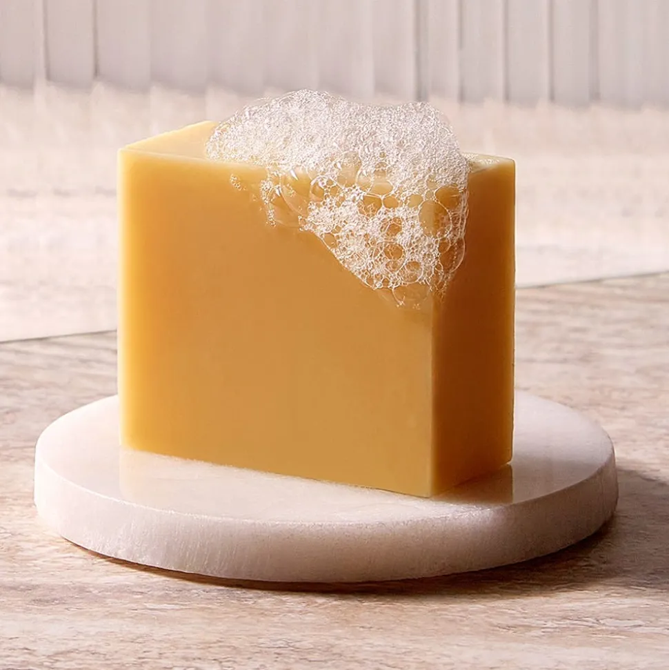 Christophe Robin Hydrating Shampoo Bar Aloe Vera 100 g