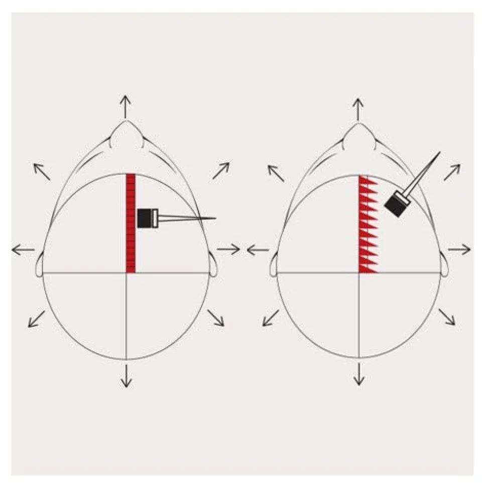 Eslabondexx Color 8.66 hellblond rot intensiv 100 ml