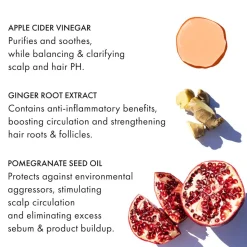 Fekkai Apple Cider Triple Cleanse Shampoo 250 ml