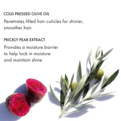 Fekkai Brilliant Gloss Finishing Cream 100 ml