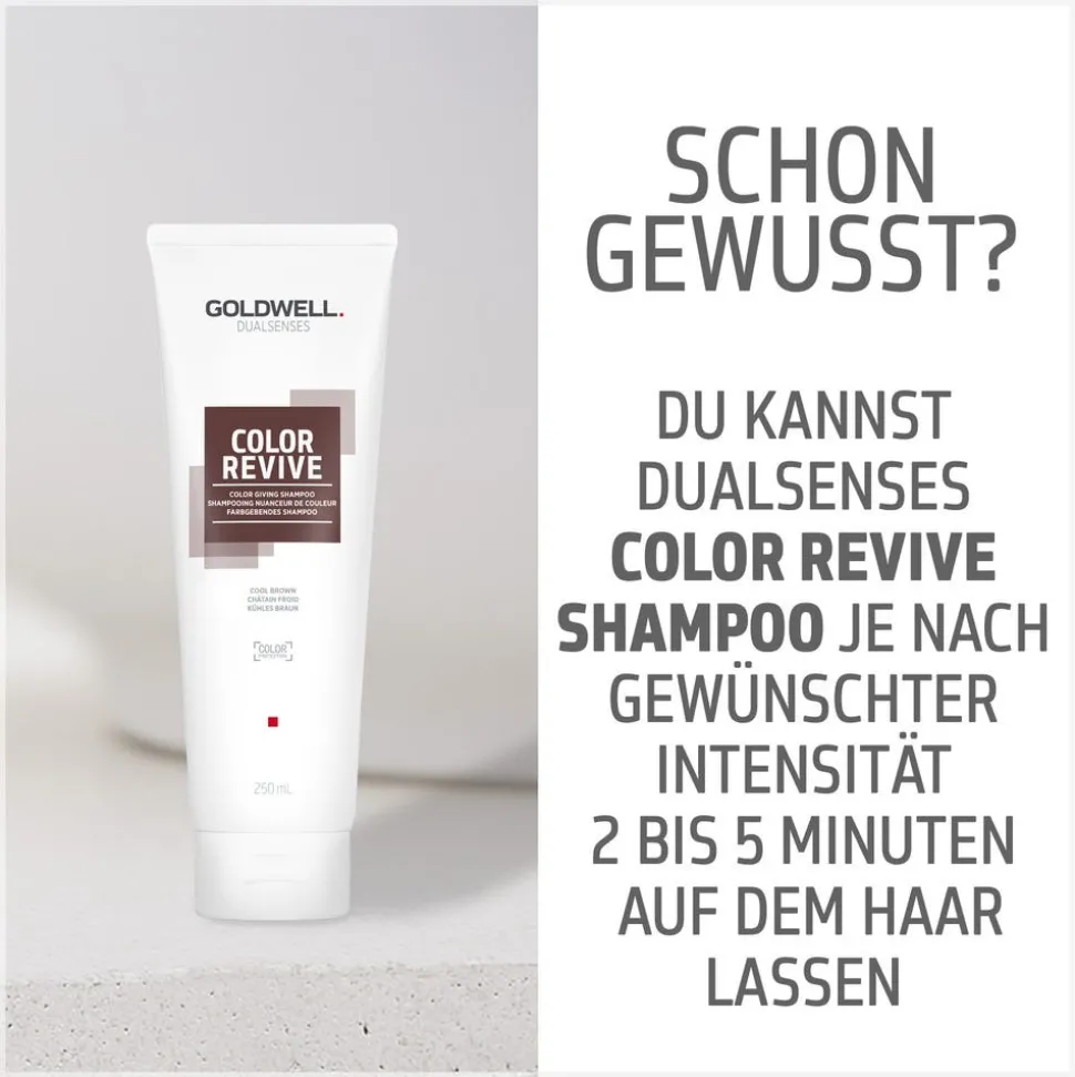 Goldwell Dualsenses Color Revive Shampoo Kühles Braun 250 ml
