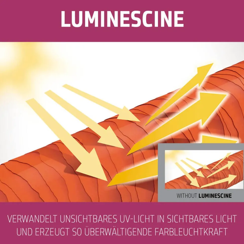 Goldwell Dualsenses Color Extra Rich Brilliance Shampoo 250 ml