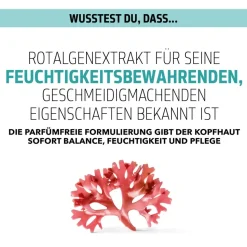 Goldwell Dualsenses Scalp Specialist Scalp Rebalance & Hydrate Fluid 150 ml