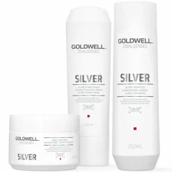 Goldwell Dualsenses Silver 60 Sek Pflegekur 200 ml