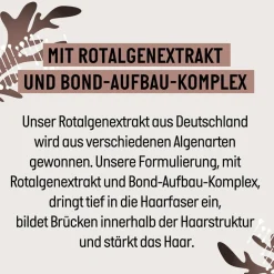 Guhl Bond+ Reparatur Shampoo 250 ml