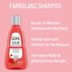 Guhl Color Schutz & Pflege Shampoo 250 ml
