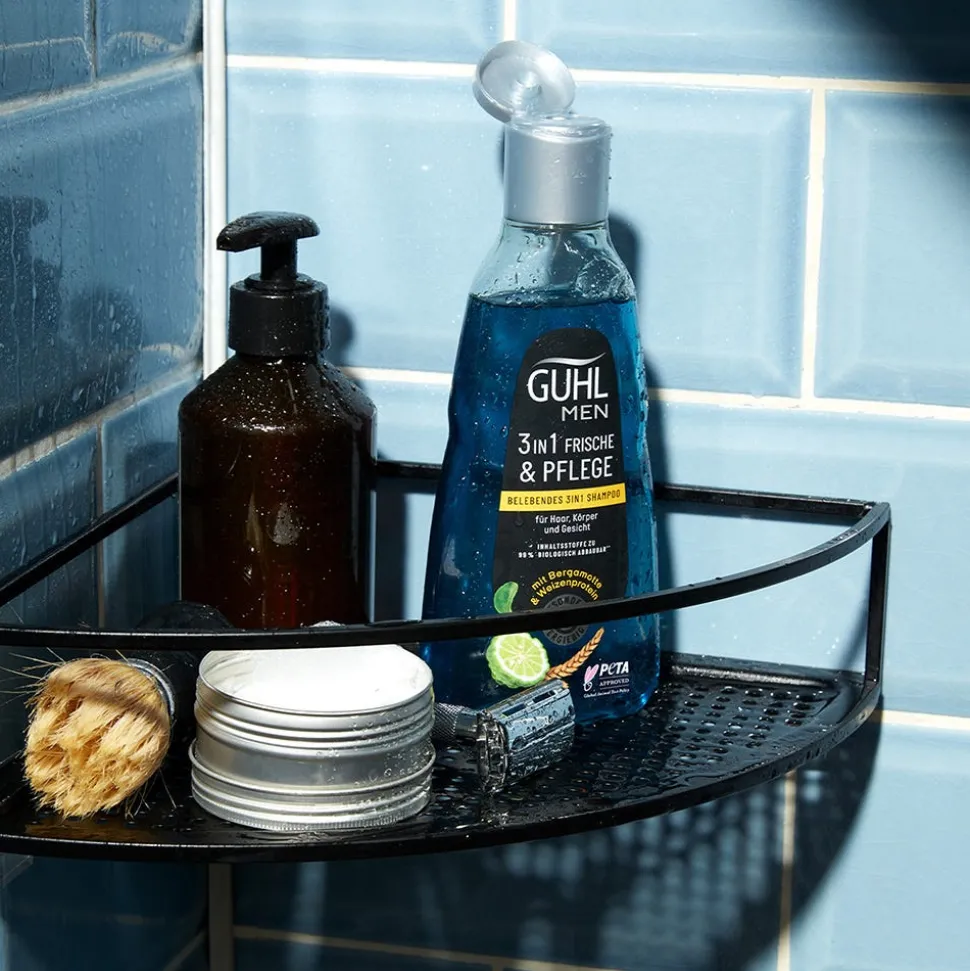 Guhl MEN Frische & Pflege Belebendes 3in1 Shampoo 250 ml