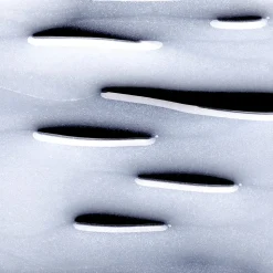 L'Oréal Professionnel Paris Serie Expert Pro Longer Shampoo 300 ml