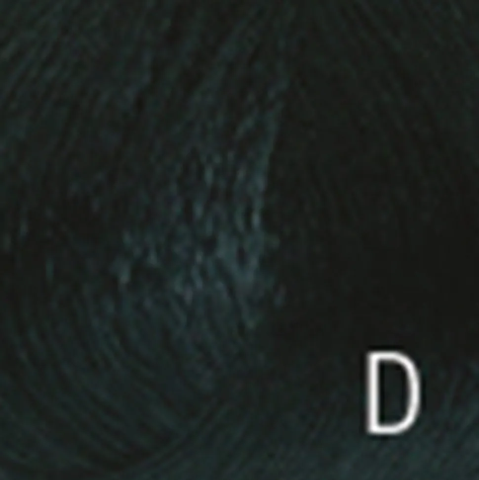 Mydentity Guy-Tang Demi Permanent Shades 1A 58 g