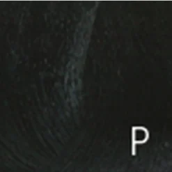 Mydentity Guy-Tang Permanent Shades 1NI 58 g