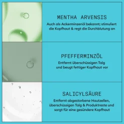 Nioxin Scalp + Hair System 3 Shampoo 300 ml