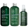 Paul Mitchell Tea Tree Lavender Mint Bundle