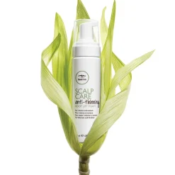 Paul Mitchell Tea Tree Scalp Care Regeniplex Root Lift Foam 200 ml