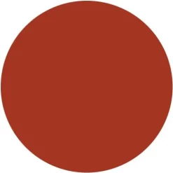 Radico Colour Me Organic Reddish Blonde 100 g