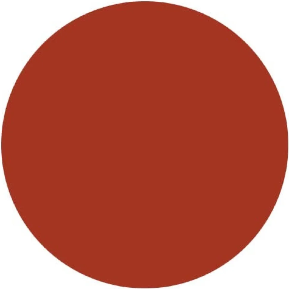 Radico Colour Me Organic Reddish Blonde 100 g