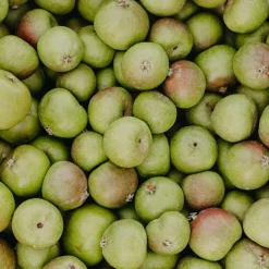 Rausch Anti-Pollution-Peeling-Shampoo mit Schweizer Apfel 100 ml