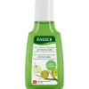 Rausch Anti-Pollution-Shampoo mit Apfel 40 ml