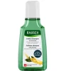 Rausch Coffein-Shampoo mit Ginseng 40 ml