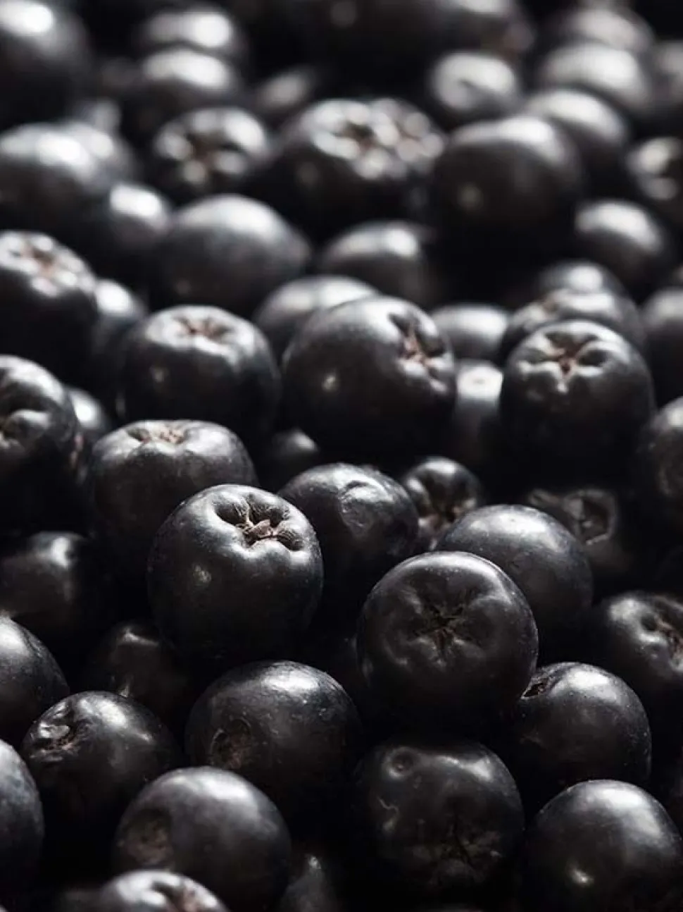 Rausch Dry Shampoo Fresh 150 ml