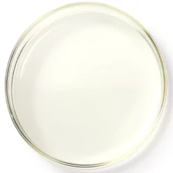 Redken Shades EQ Bonder Inside 0 Crystal Clear 60 ml