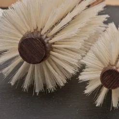 Regincós e.Cork Blonde 22529 Rundbürste 26/80 mm X