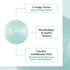 Rene Furterer Astera Fresh Shampoo 600 ml Maxigröße