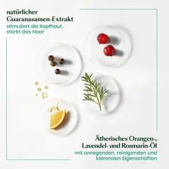 Rene Furterer Forticea Vitalisierendes Shampoo 600 ml