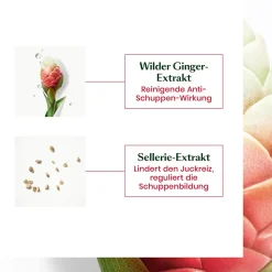 Rene Furterer NEOPUR Anti-Schuppen Shampoo Trockene Schuppen 150 ml