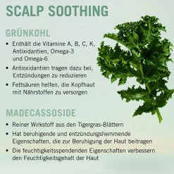 Schwarzkopf BC Bonacure Scalp Soothing Shampoo 250 ml