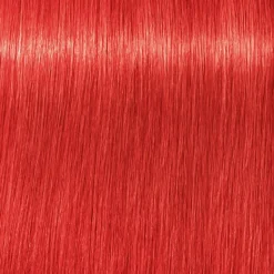 Schwarzkopf Igora Royal 0-88 Rot Konzentrat