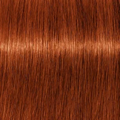 Schwarzkopf Igora Royal 6-77 Dunkelblond Kupfer Extra