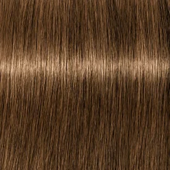 Schwarzkopf Igora Royal  6-5 Dunkelblond Gold