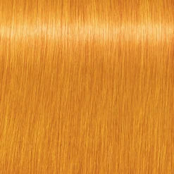 Schwarzkopf Igora Royal 0-55 Gold Konzentrat