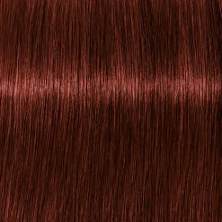 Schwarzkopf Igora Royal Absolutes 5-80 Hellbraun Rot