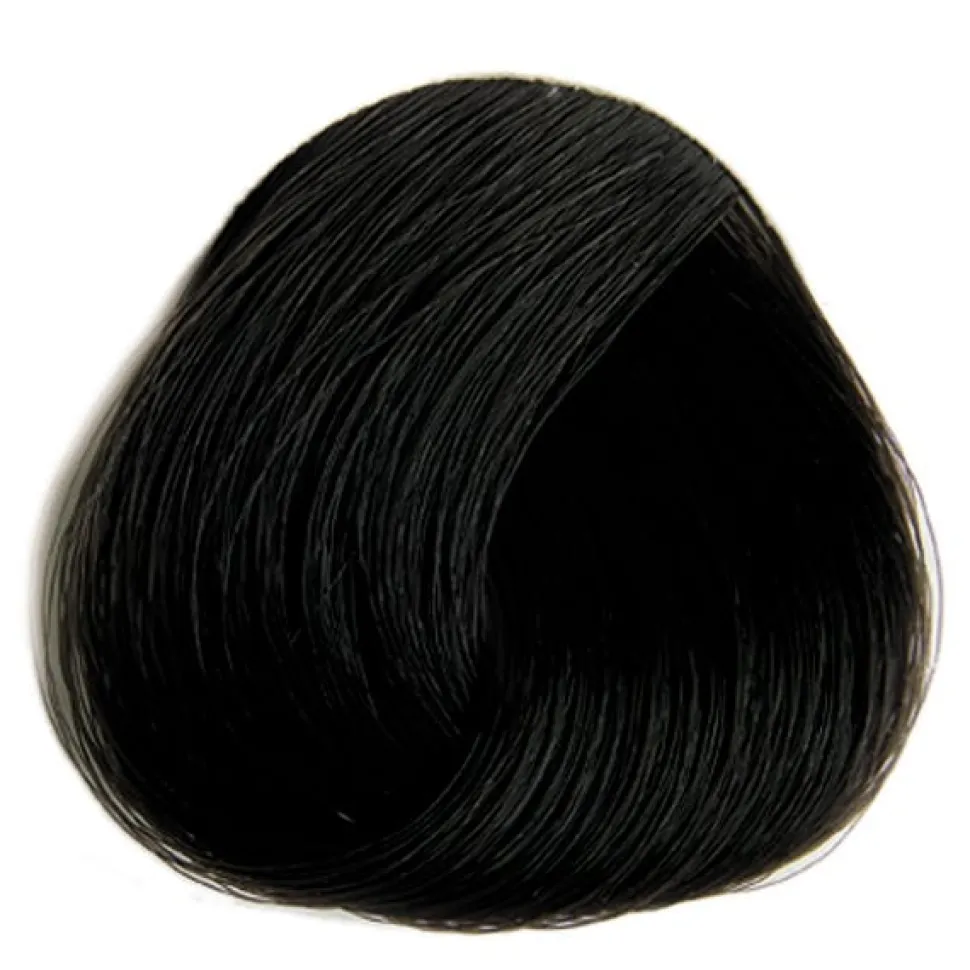 Selective ColorEvo Cremehaarfarbe 1.0 schwarz 100 ml