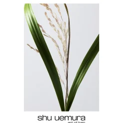 shu uemura Ultimate Reset Shampoo 300 ml
