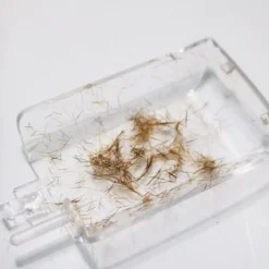 Split-Ender Pro2 schwarz