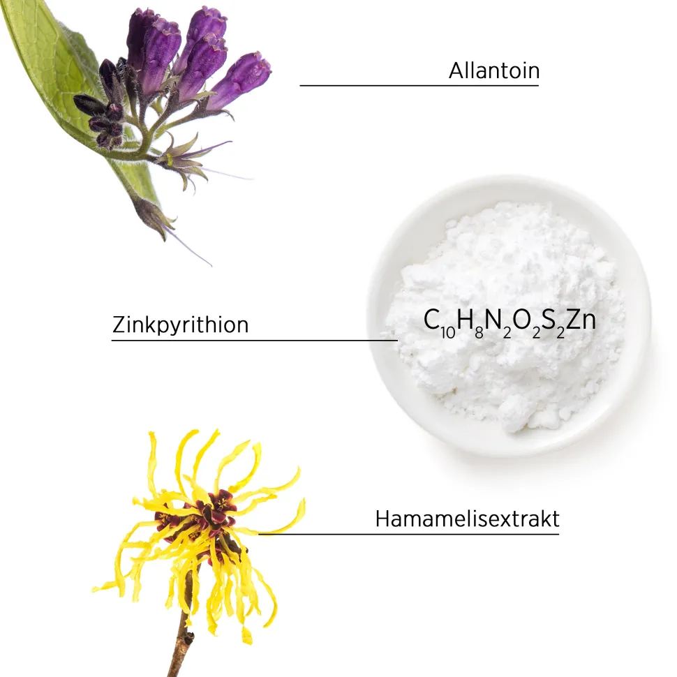 System Professional P4 Purify Anti-Schuppen Shampoo & Peeling 150 ml