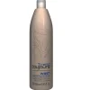Trend Toujours Shampoo Dry/Normal Hair 250 ml