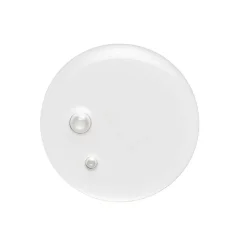 Virtue Correct Healing Oil 50 ml